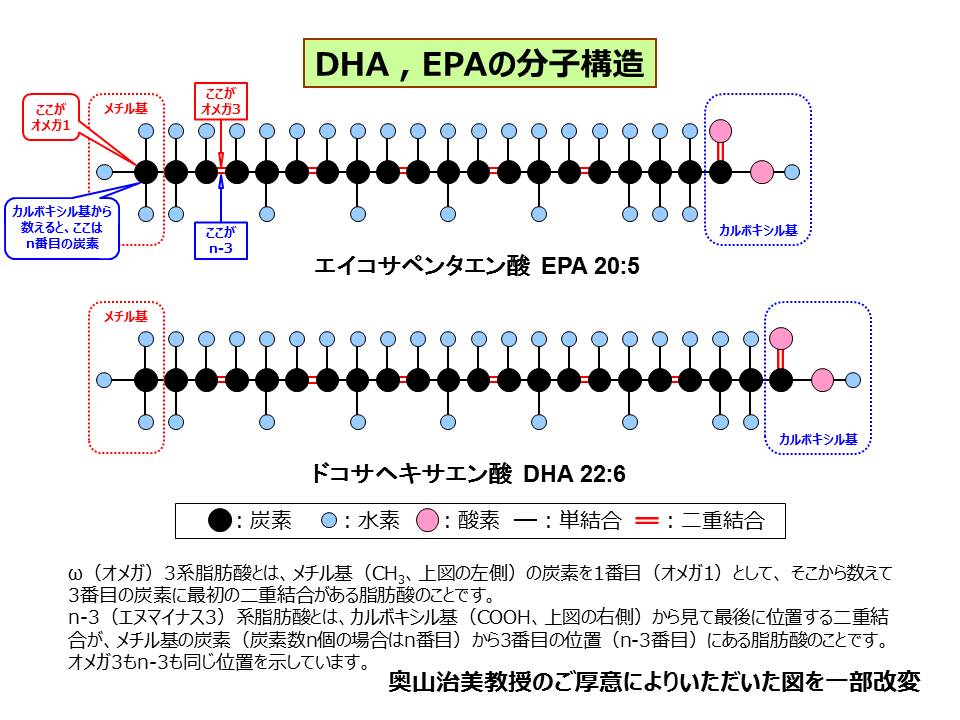 DHA、EPAの分子式